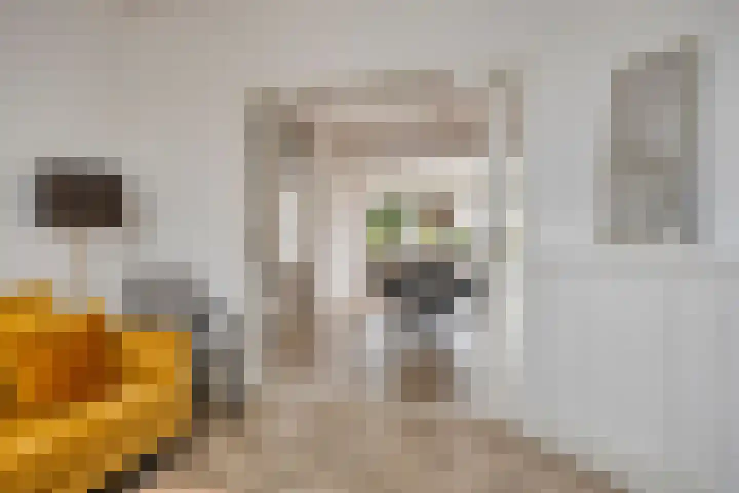 Hondevoort 3 Eibergen thumbnail 19