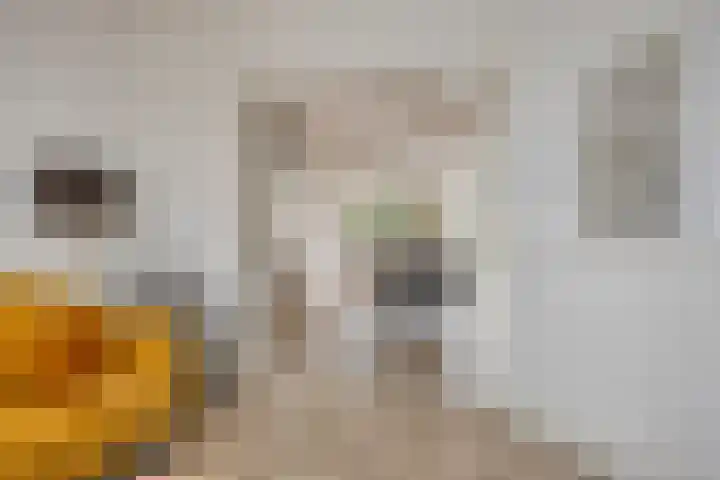 Hondevoort 3 Eibergen thumbnail 19