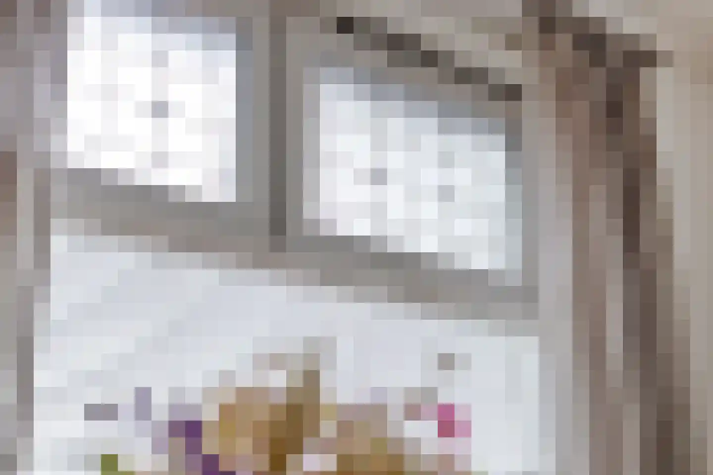 Hondevoort 3 Eibergen thumbnail 20