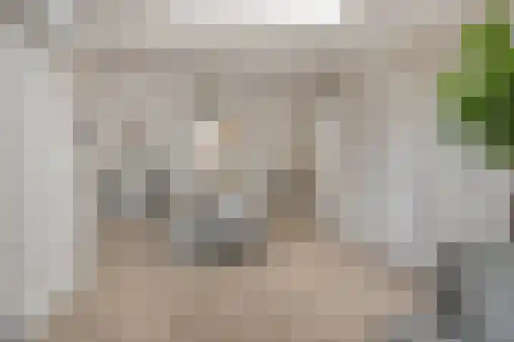 Hondevoort 3 Eibergen thumbnail 21