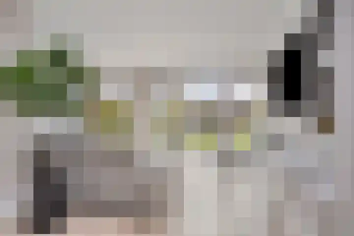 Hondevoort 3 Eibergen thumbnail 22
