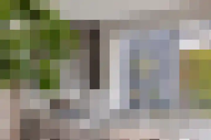 Hondevoort 3 Eibergen thumbnail 23