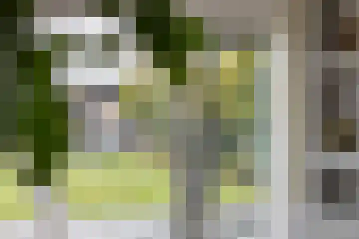 Hondevoort 3 Eibergen thumbnail 24