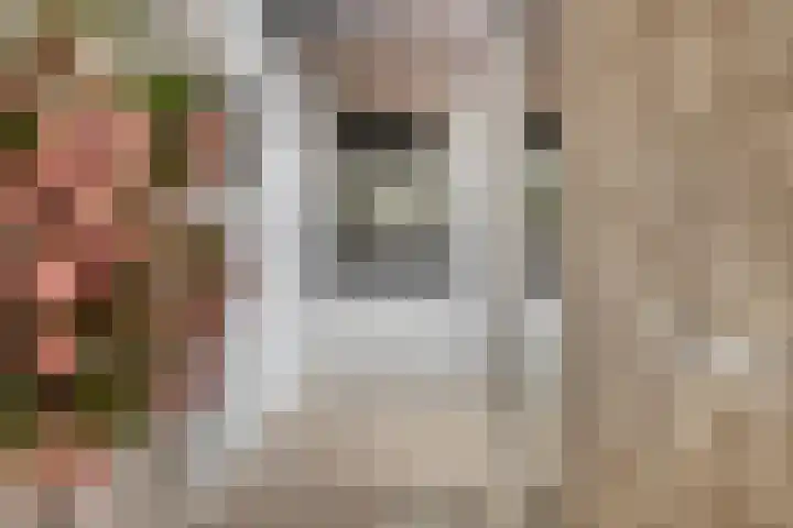Hondevoort 3 Eibergen thumbnail 27
