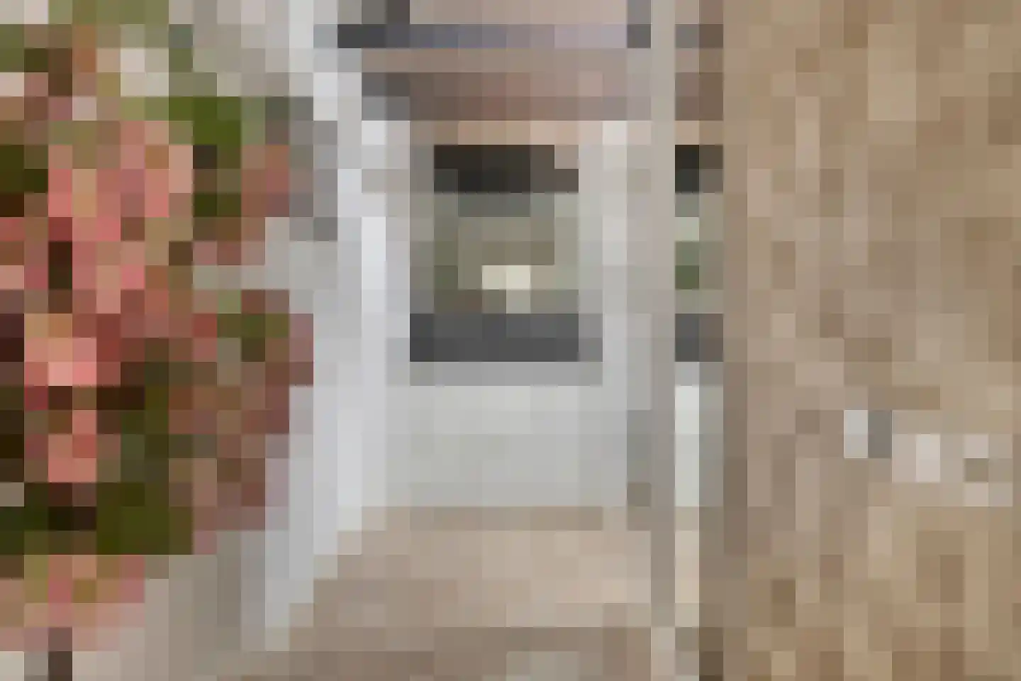 Hondevoort 3 Eibergen thumbnail 27
