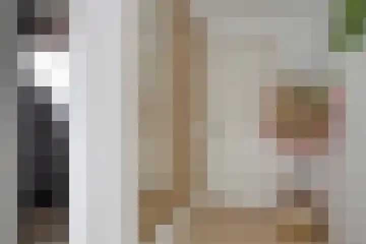 Hondevoort 3 Eibergen thumbnail 28