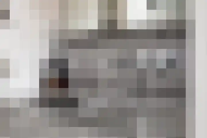 Hondevoort 3 Eibergen thumbnail 31