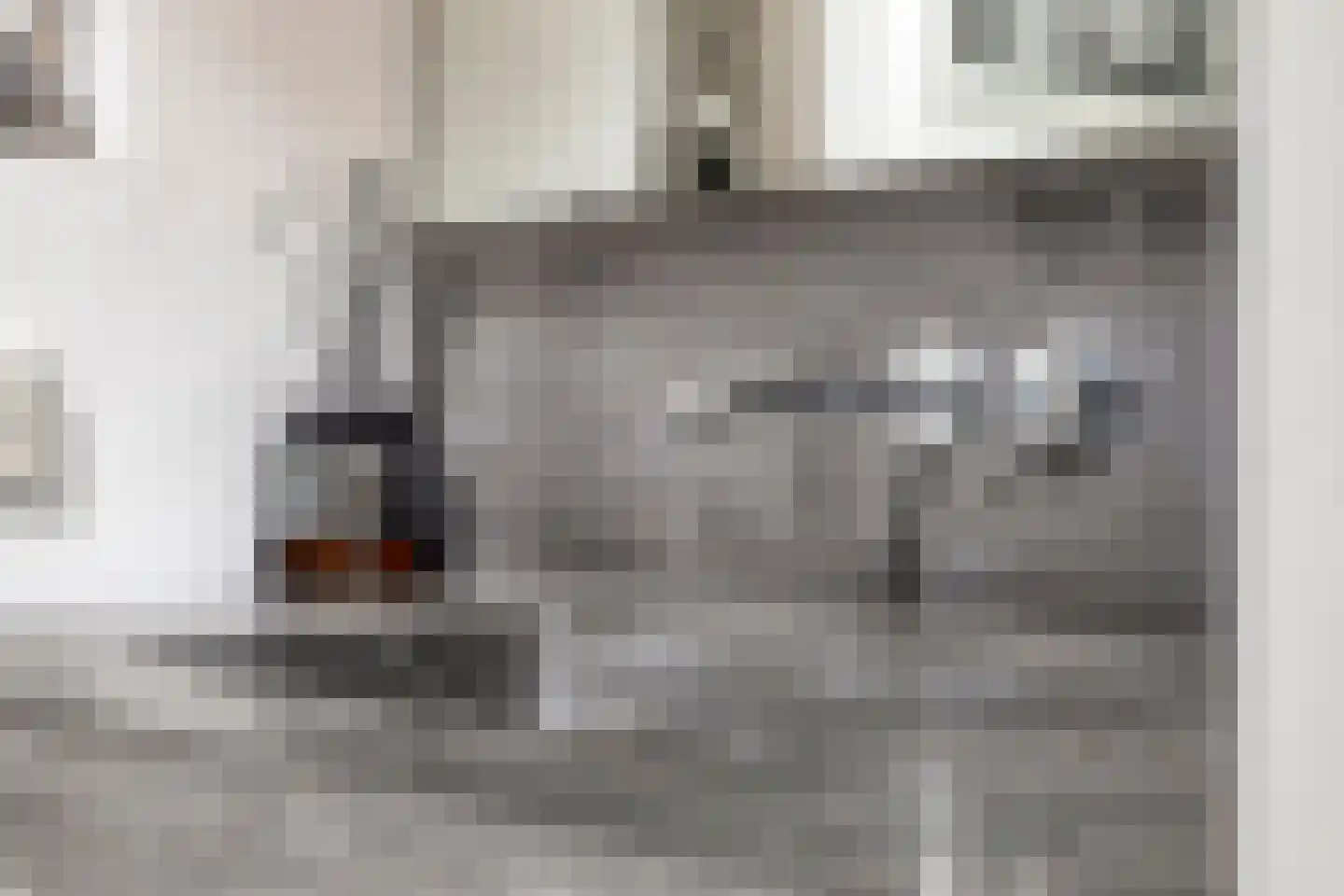 Hondevoort 3 Eibergen thumbnail 31