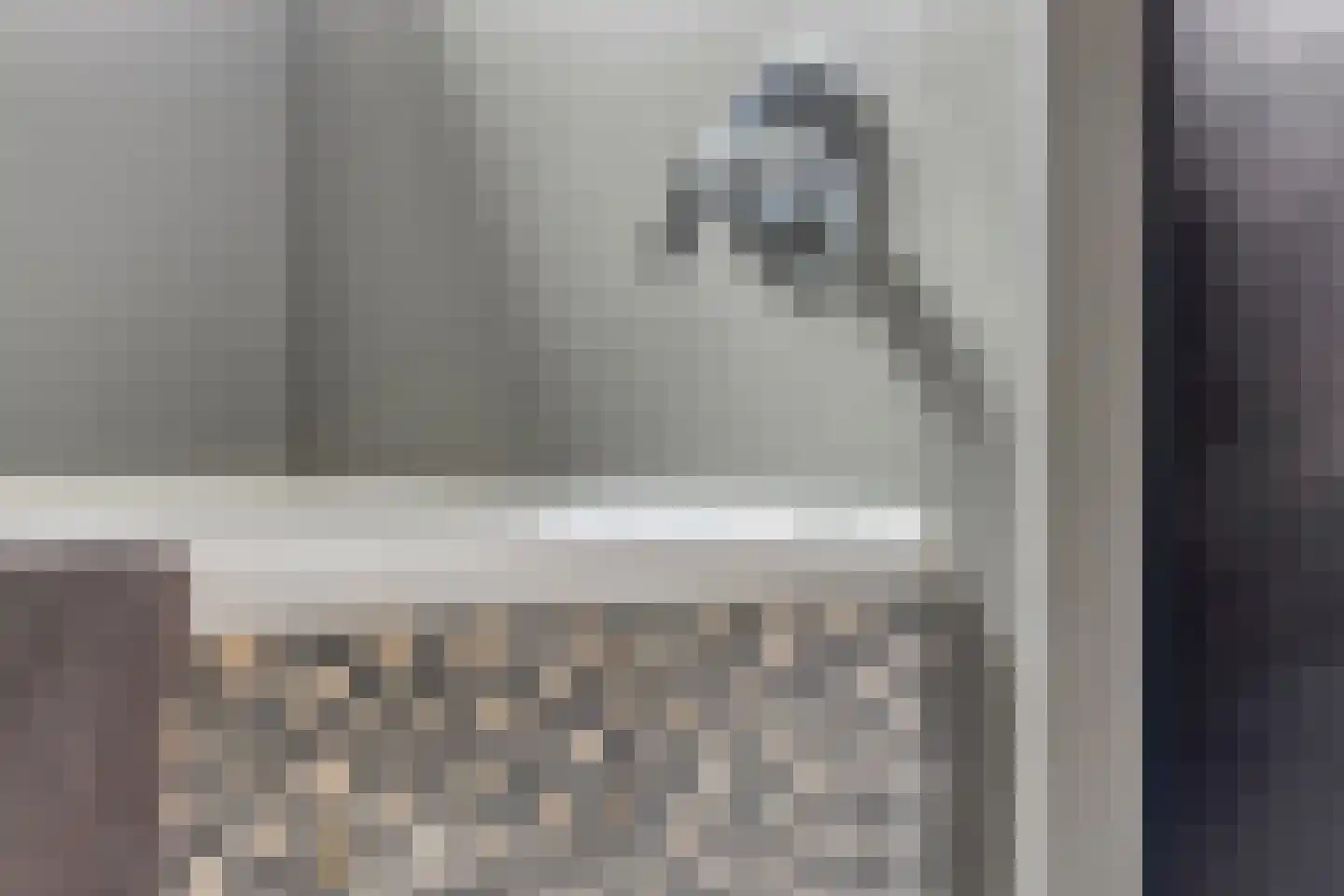 Hondevoort 3 Eibergen thumbnail 32