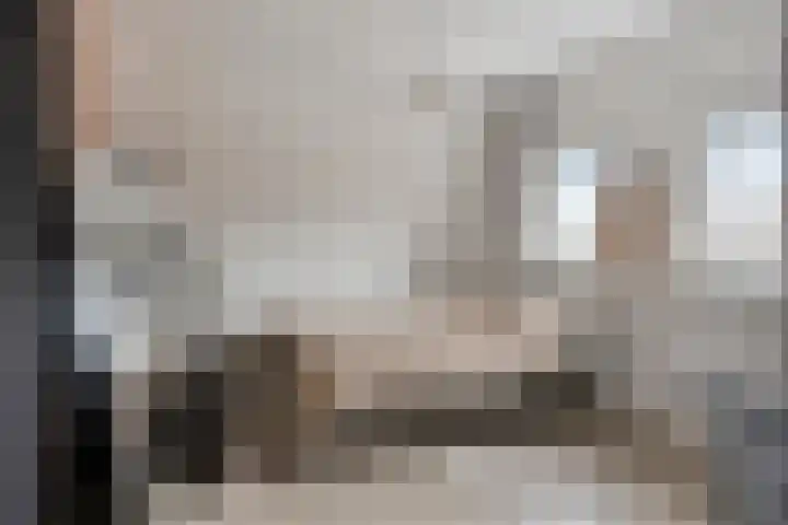 Hondevoort 3 Eibergen thumbnail 38