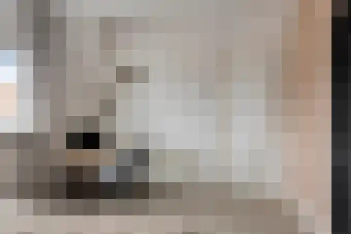 Hondevoort 3 Eibergen thumbnail 39