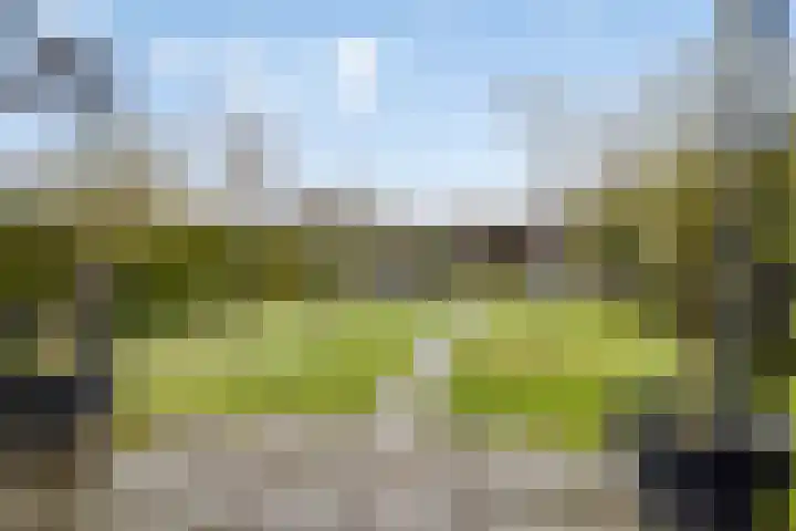 Hondevoort 3 Eibergen thumbnail 44