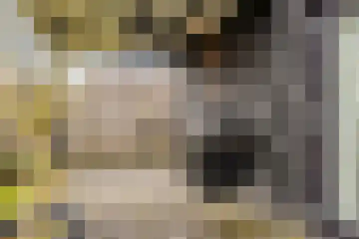 Hondevoort 3 Eibergen thumbnail 47