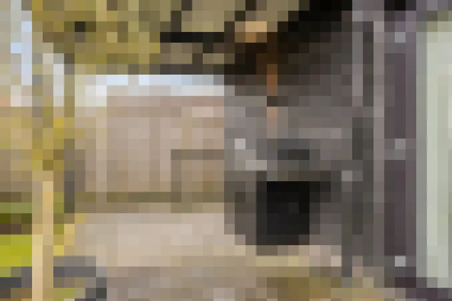 Hondevoort 3 Eibergen thumbnail 47