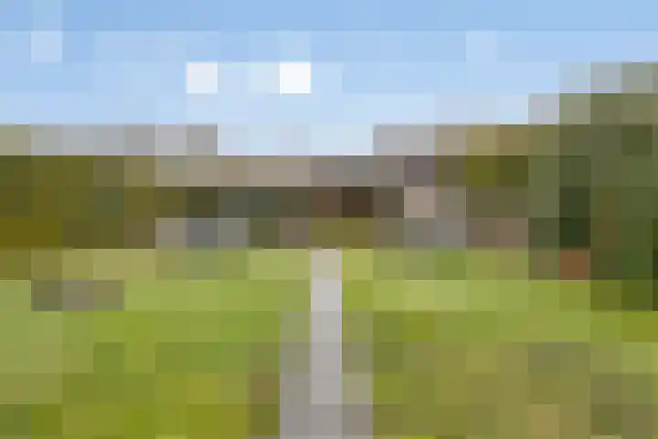 Hondevoort 3 Eibergen thumbnail 48
