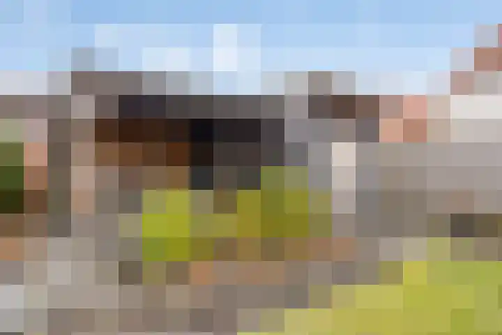 Hondevoort 3 Eibergen thumbnail 50