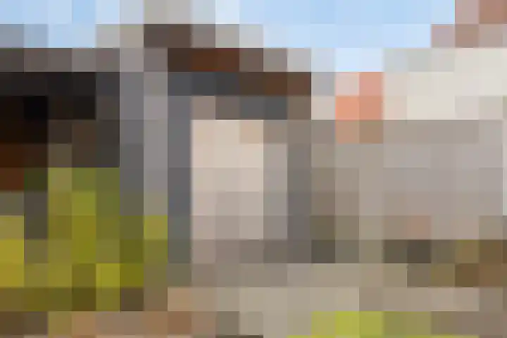 Hondevoort 3 Eibergen thumbnail 52