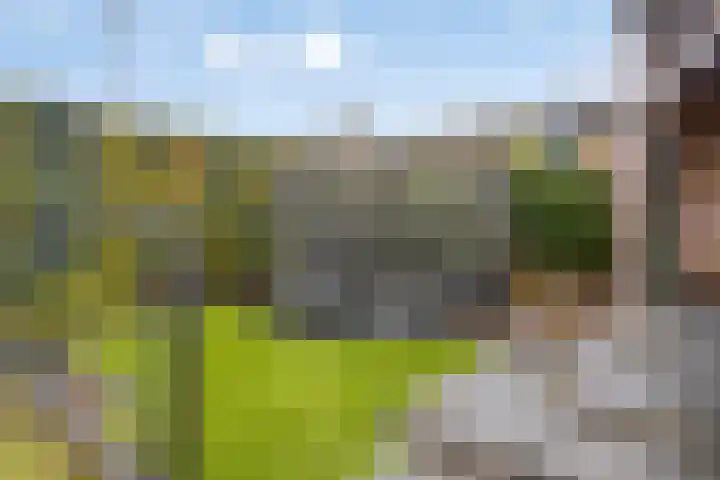 Hondevoort 3 Eibergen thumbnail 53