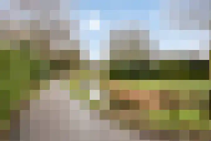 Hondevoort 3 Eibergen thumbnail 56