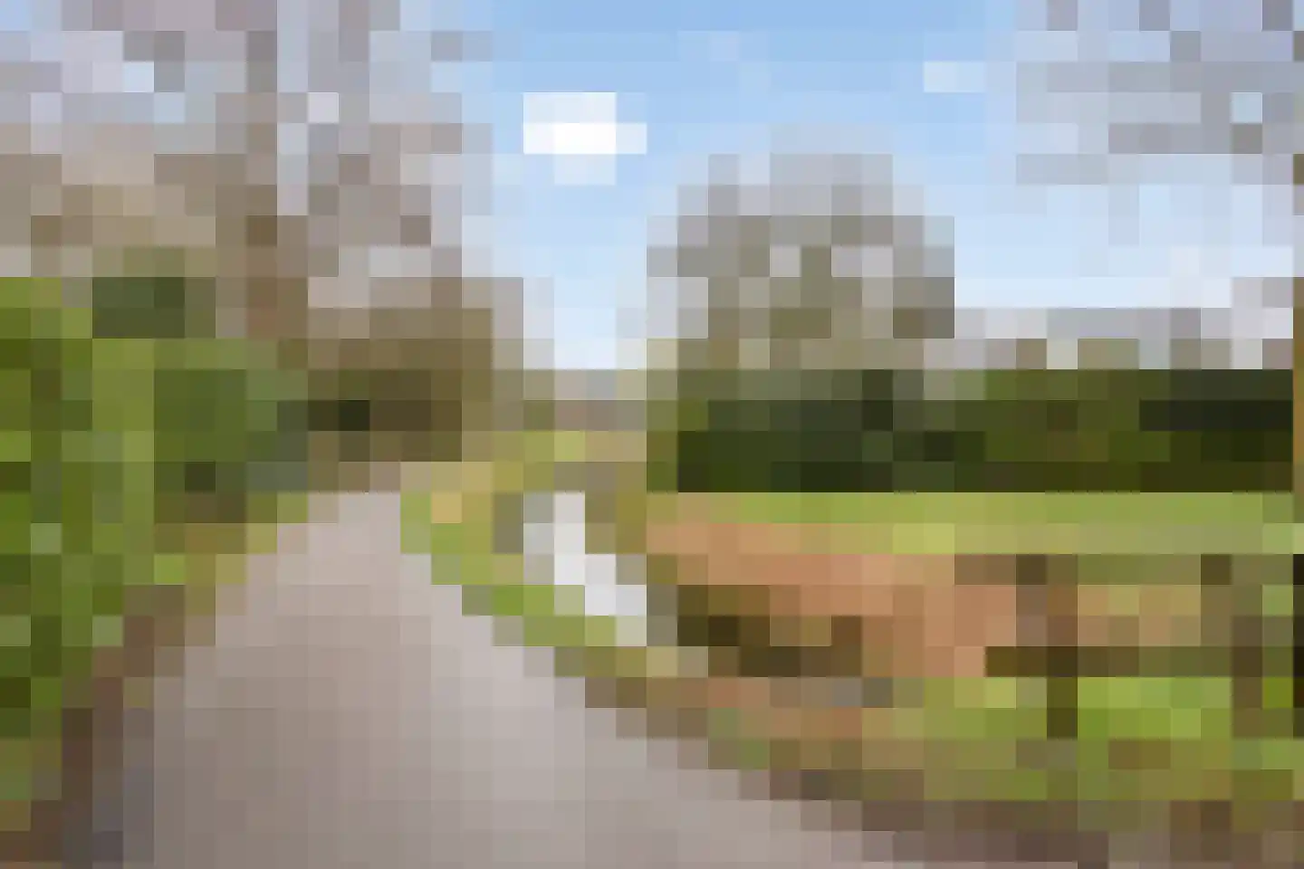 Hondevoort 3 Eibergen thumbnail 56
