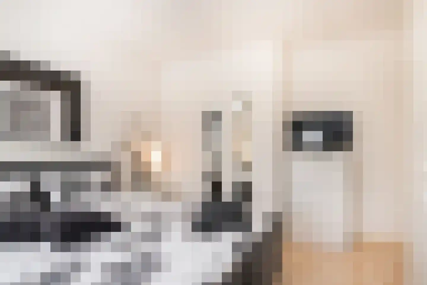Hondevoort 6 Eibergen thumbnail 22