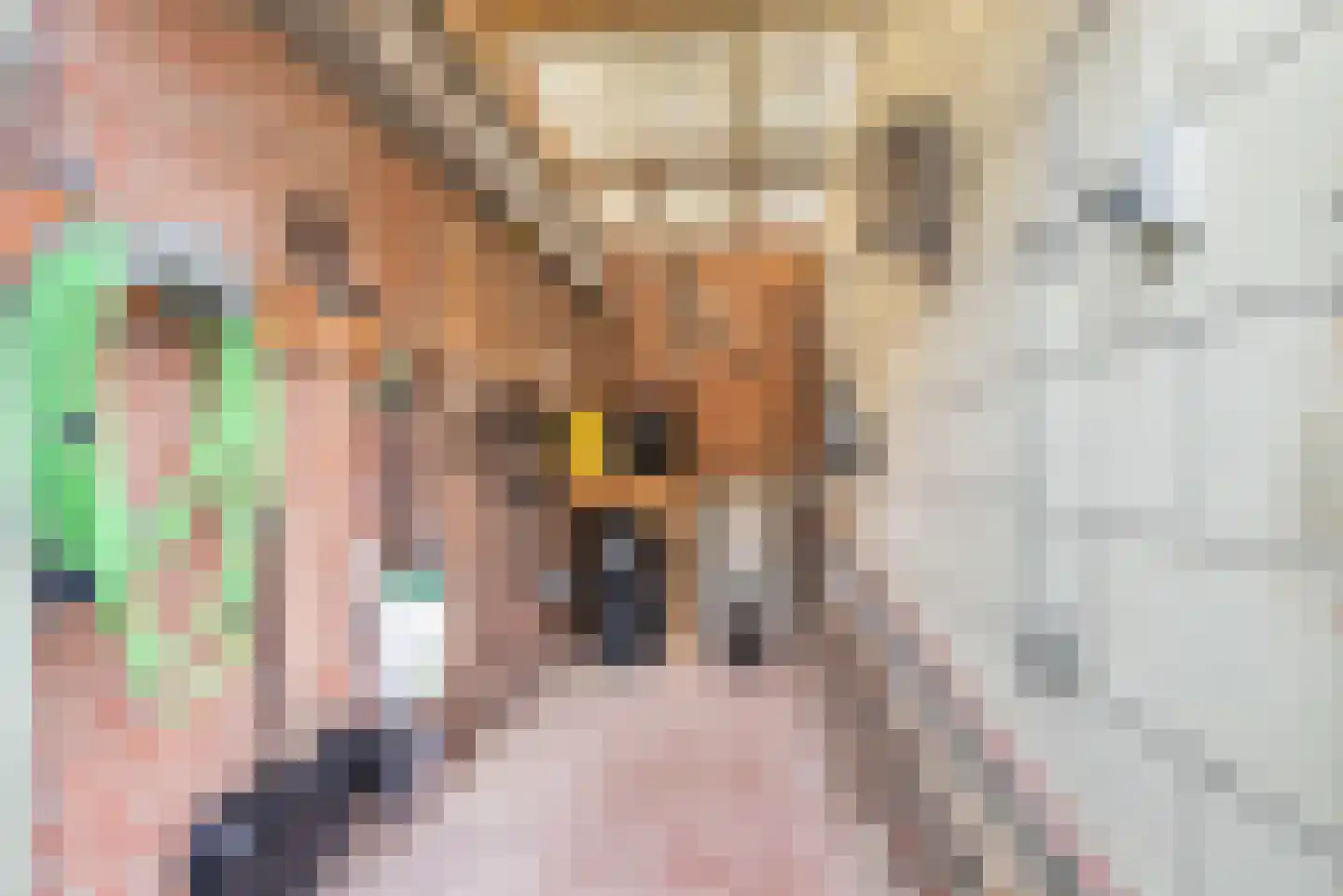 Hondevoort 6 Eibergen thumbnail 50