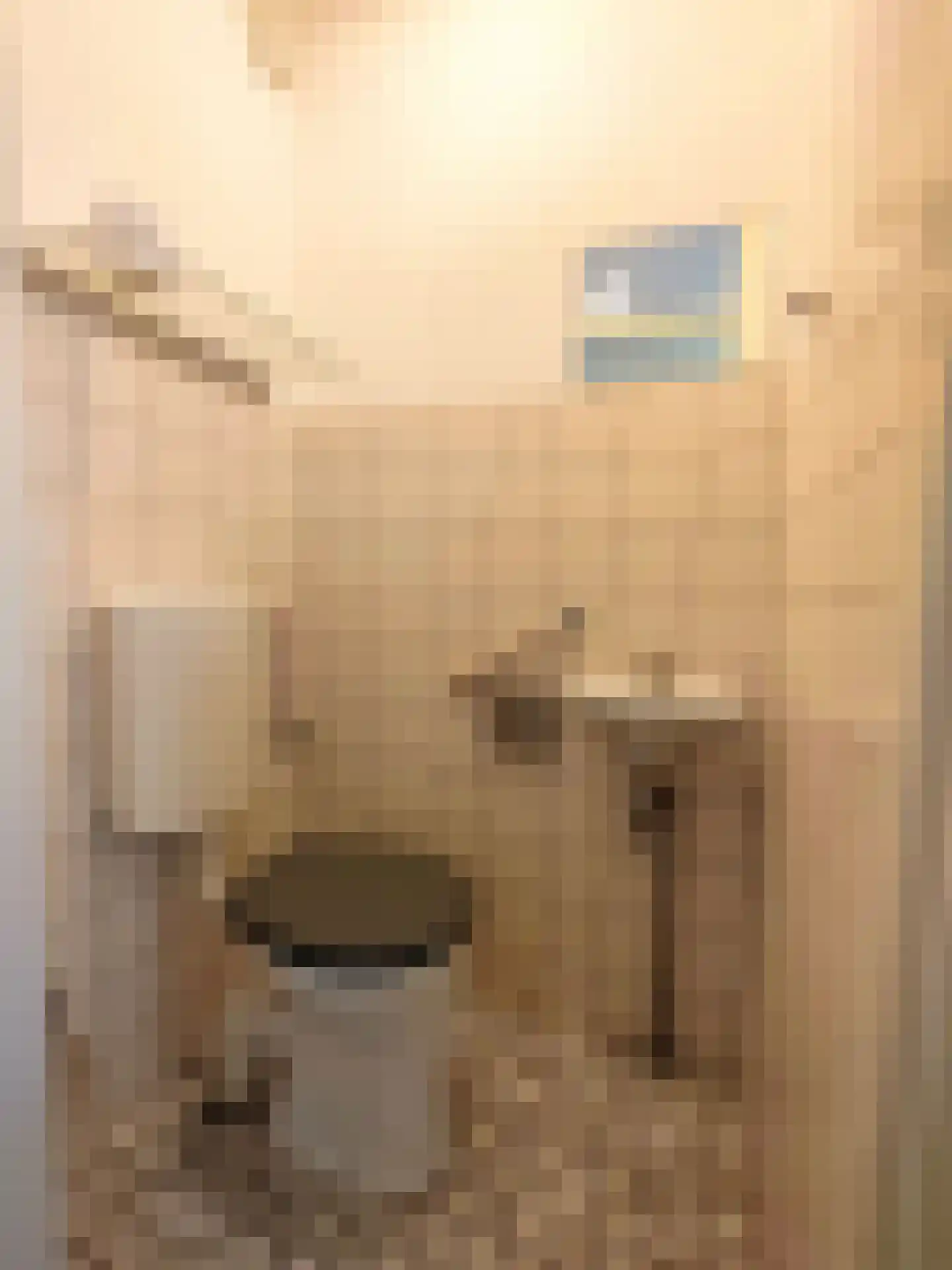 Hondiusdomein 38 Maastricht thumbnail 11