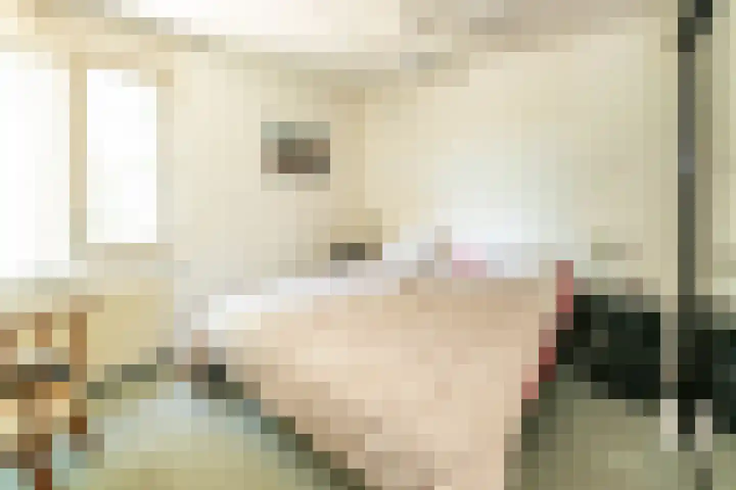 Hondiusdomein 38 Maastricht thumbnail 23