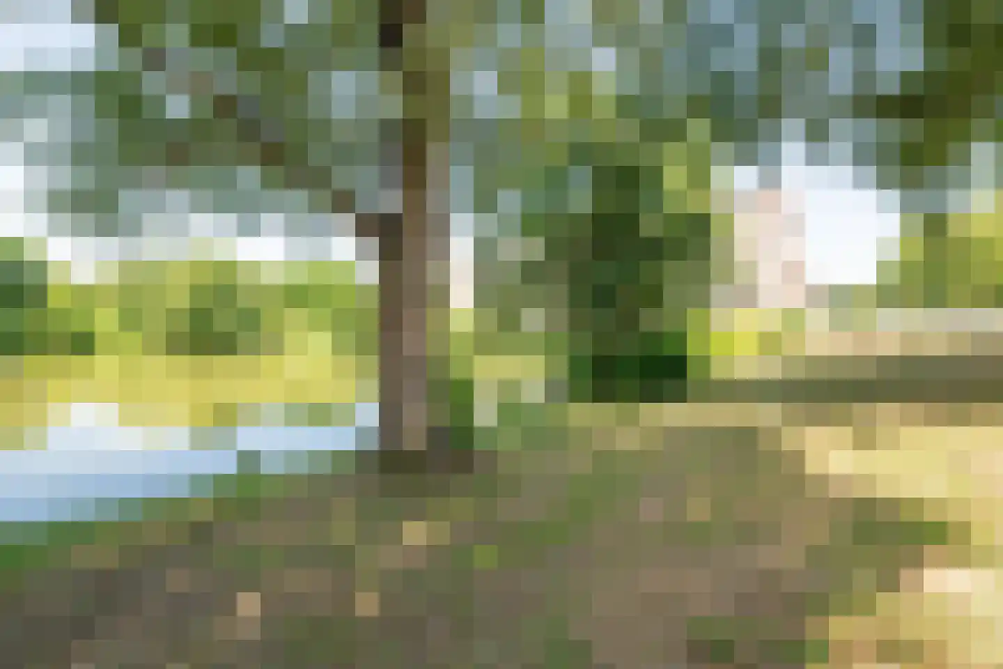 Hondiusdomein 38 Maastricht thumbnail 33