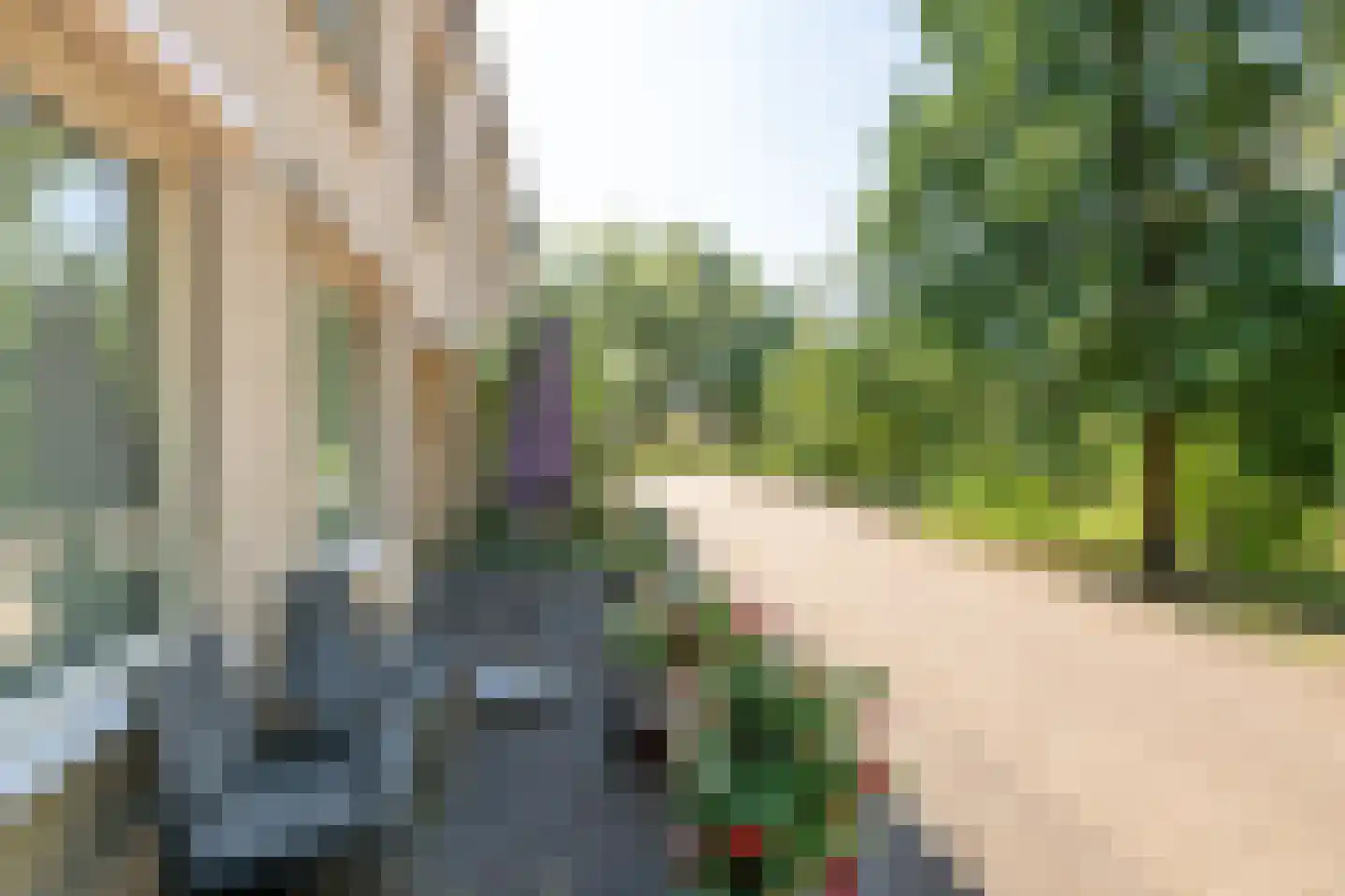 Hondiusdomein 38 Maastricht thumbnail 4