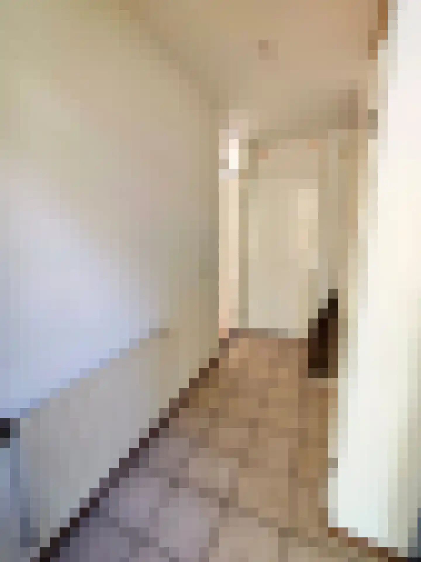 Hondiusdomein 38 Maastricht thumbnail 6