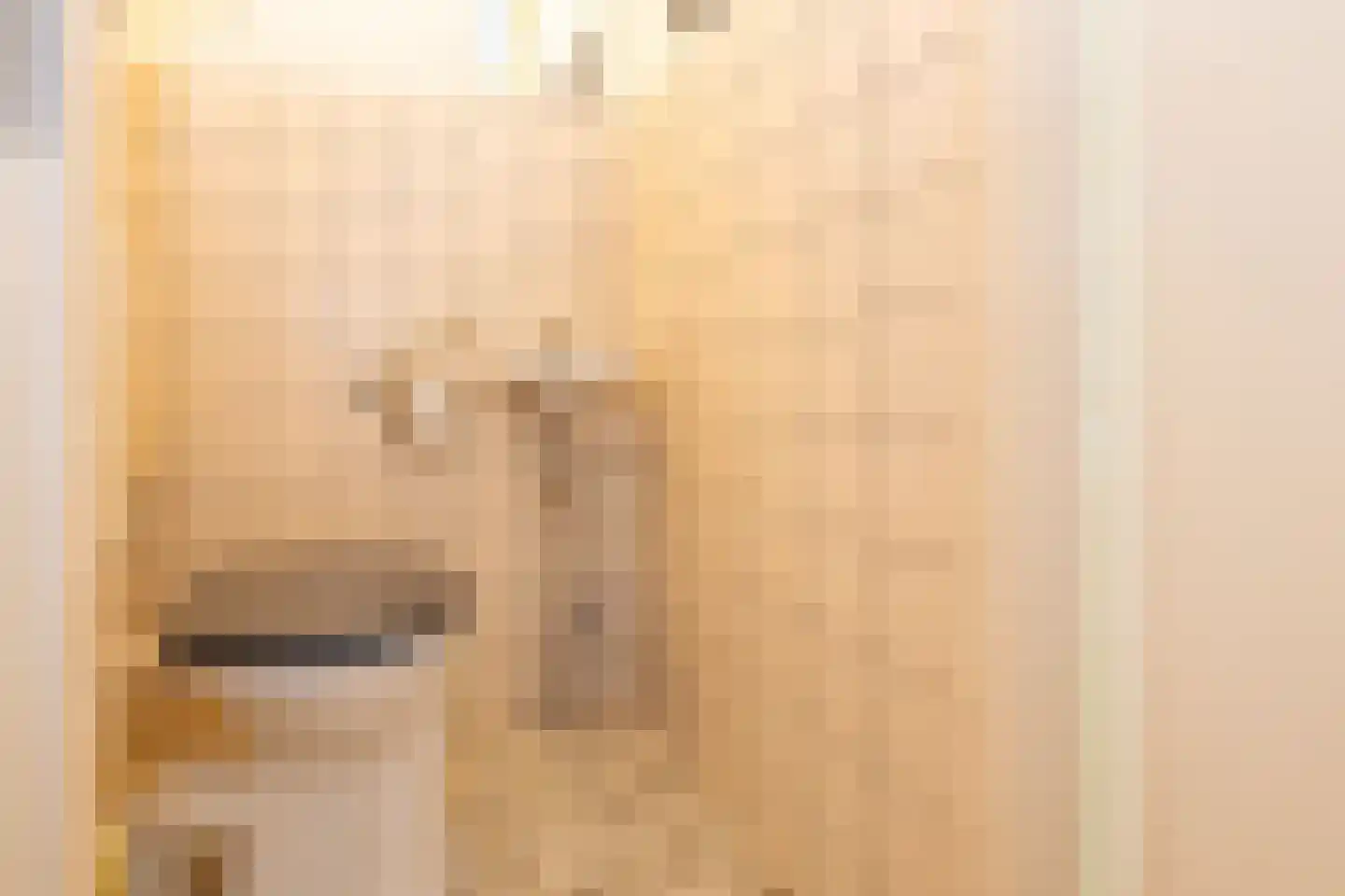 Hondiusdomein 38 Maastricht thumbnail 8