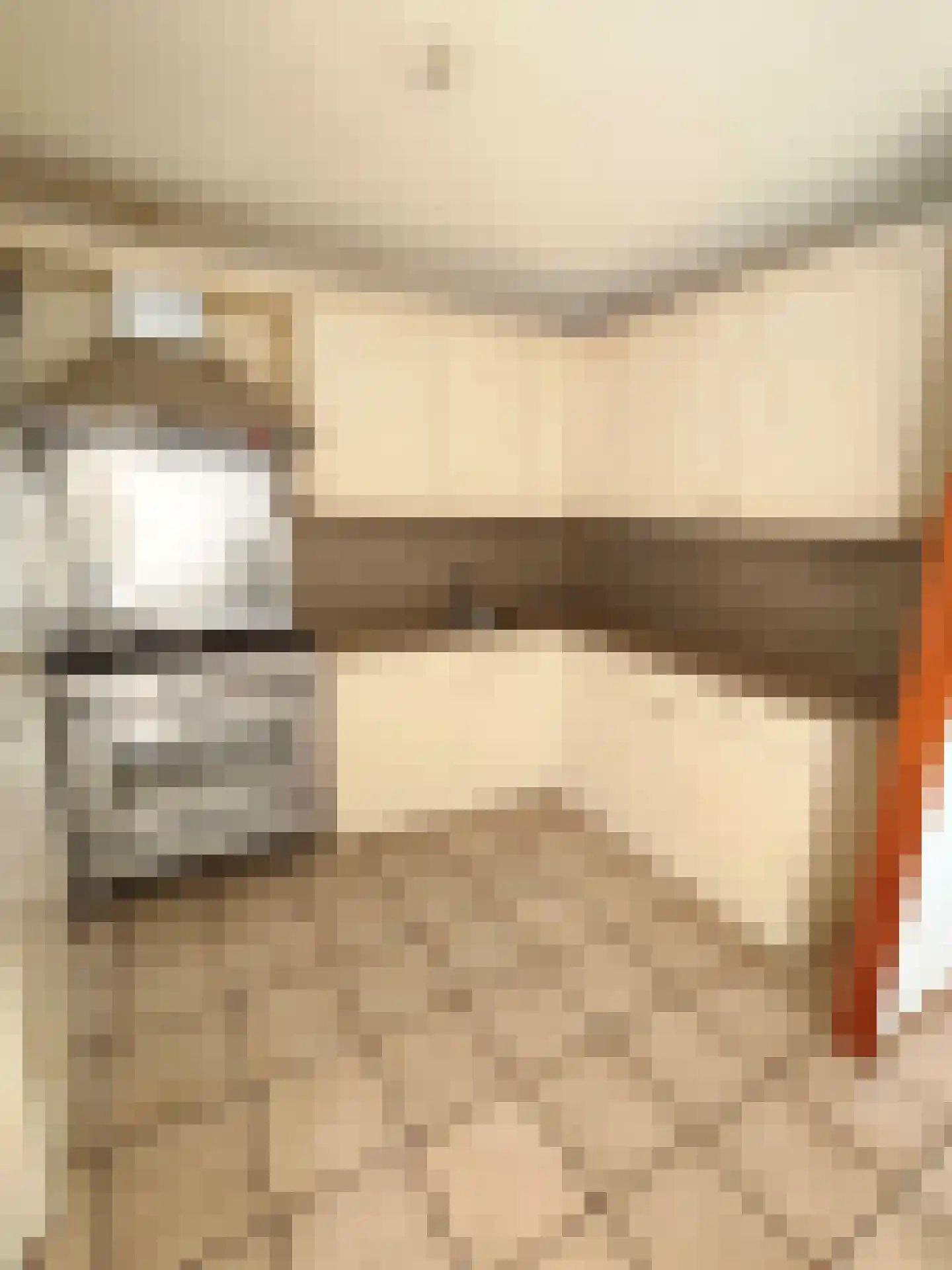 Hondiusdomein 38 Maastricht thumbnail 9