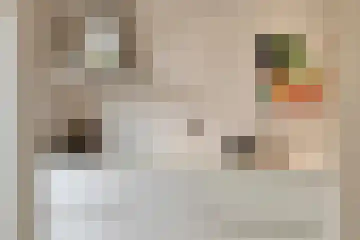 Hondiusdomein 8 Maastricht thumbnail 10