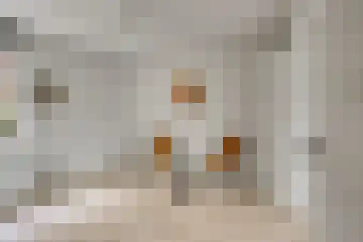 Hondiusdomein 8 Maastricht thumbnail 14