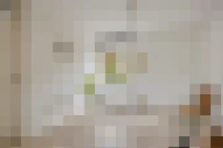 Hondiusdomein 8 Maastricht thumbnail 15