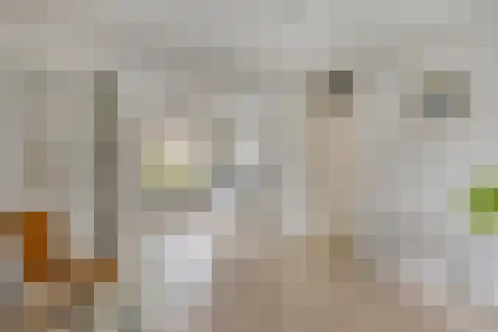 Hondiusdomein 8 Maastricht thumbnail 16