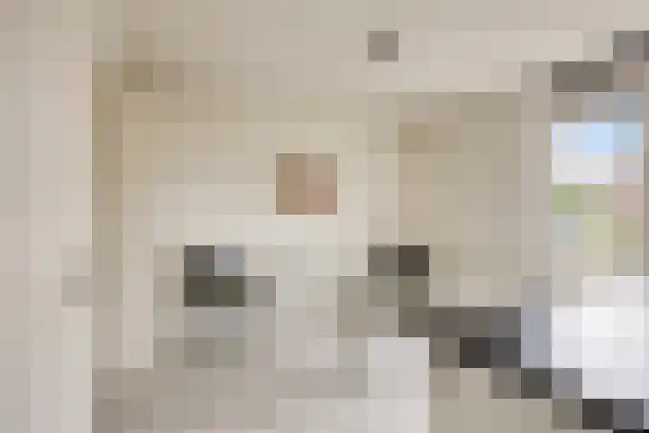 Hondiusdomein 8 Maastricht thumbnail 18