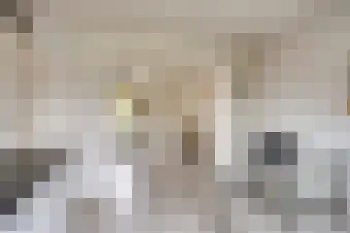 Hondiusdomein 8 Maastricht thumbnail 19
