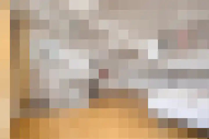 Hondiusdomein 8 Maastricht thumbnail 26