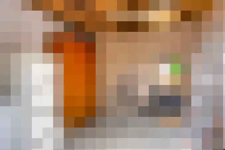 Hondiusdomein 8 Maastricht thumbnail 29