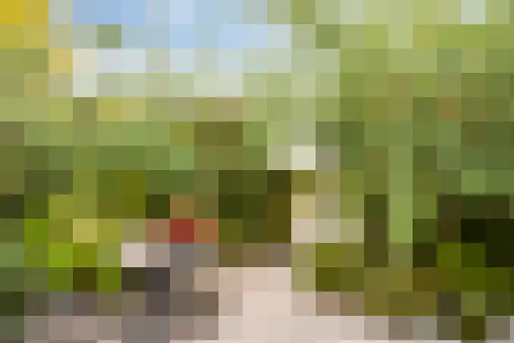 Hondiusdomein 8 Maastricht thumbnail 30