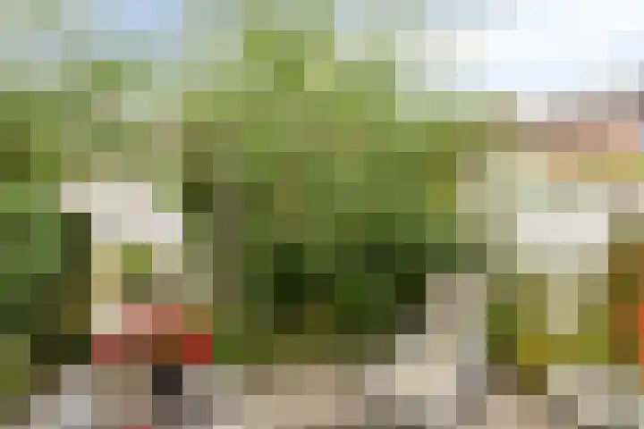 Hondiusdomein 8 Maastricht thumbnail 31