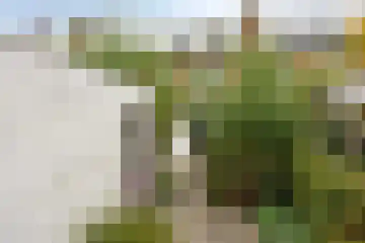 Hondiusdomein 8 Maastricht thumbnail 32