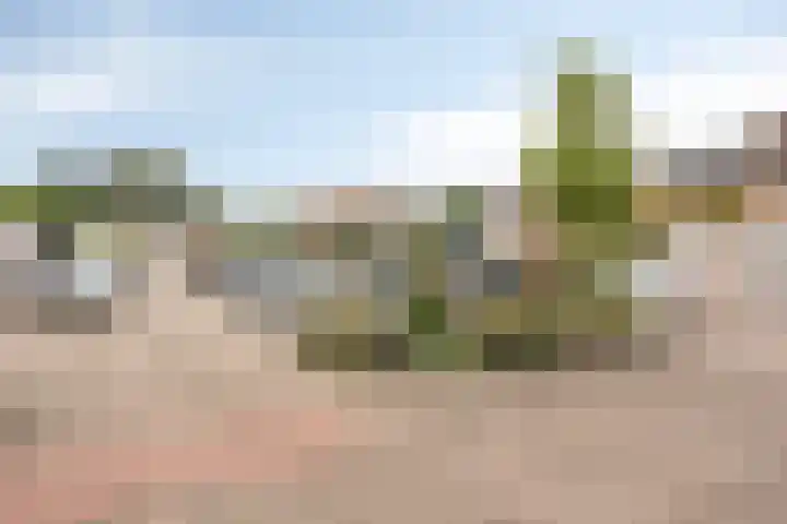 Hondiusdomein 8 Maastricht thumbnail 35