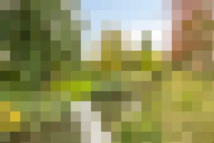 Hondiusdomein 8 Maastricht thumbnail 36