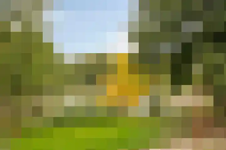 Hondiusdomein 8 Maastricht thumbnail 37