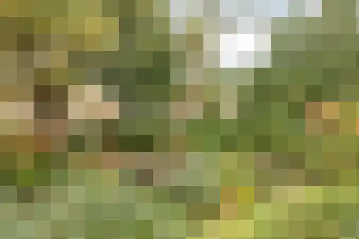 Hondiusdomein 8 Maastricht thumbnail 38