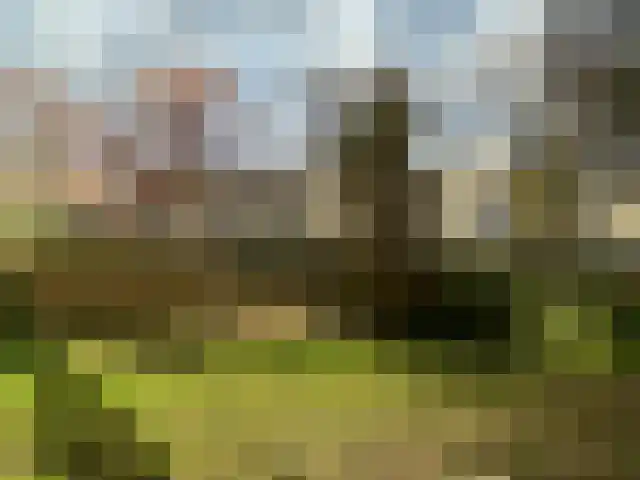 Hondiusdomein 8 Maastricht thumbnail 40