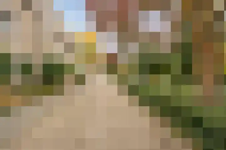 Hondiusdomein 8 Maastricht thumbnail 43